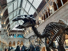 Oxford University Museum of Natural History