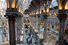 Oxford University Museum of Natural History